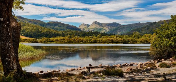Elterwater - Mugs