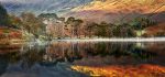 Buttermere - Mugs - Golden Buttermere