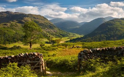 Borrowdale - Mugs - Green and Pleasant Land