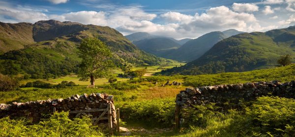 Borrowdale - Mugs