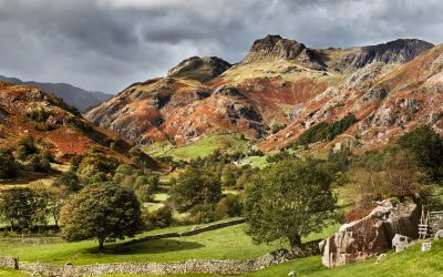 Langdale - Mugs - Summer Greens of Langdale