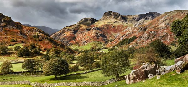 Langdale - Mugs
