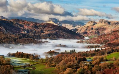 Langdale - Mugs - Autumn Morning in Langdale