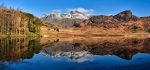 Waters and Tarns - Mugs - Blea Tarn Tranquility
