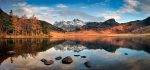Waters and Tarns - Mugs - Spring Sunshine on Blea Tarn
