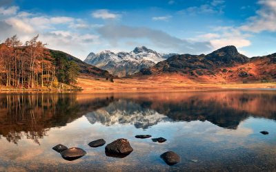 Langdale - Mugs - Spring Sunshine on Blea Tarn