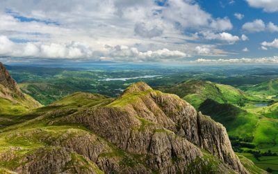 Langdale - Mugs - Guardians of Langdale