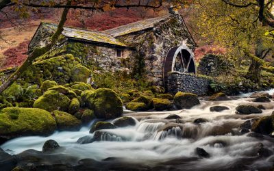 Borrowdale - Mugs - Borrowdale Mill