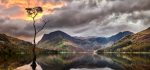 Buttermere - Mugs - Buttermere Sunrise