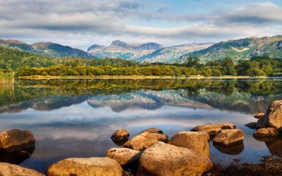 Elterwater - Mugs - Elterwater Summer Reflections