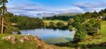 Waters and Tarns - Mugs - Summer Greens of Loughrigg Tarn