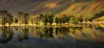 Buttermere - Mugs - Buttermere Becalmed Morning