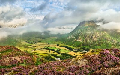 Langdale - Mugs - Summer Heather and Weather