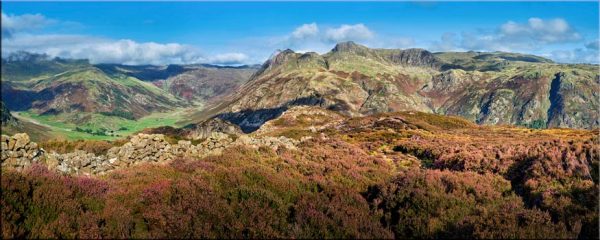 Summer Heather on Lingmoor Fell - Canvas