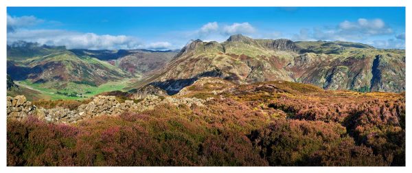Summer Heather on Lingmoor Fell - Glossy Print