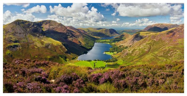 Buttermere in Bloom - Print