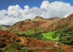 Langdale - Cards - Cumbrian Way Great Langdale