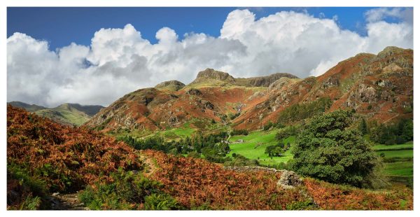 Cumbria Way Great Langdale - Print
