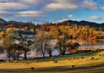 Waters and Tarns - Wandering Sheep Loughrigg Tarn