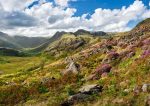 Langdale - Purples and Greens of Langdale
