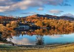 Waters and Tarns - Cards - Frosty Autumn Morning Loughrigg Tarn
