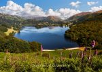 Grasmere - Cards - Summer at Grasmere