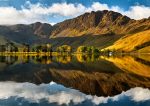 Buttermere - First Light on the Buttermere Pines