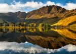Buttermere - Cards - First Light on the Buttermere Pines