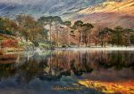 Buttermere - Cards - Golden Buttermere Reflections