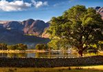 Buttermere - The Buttermere Tree