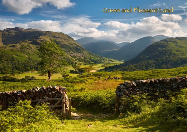 Borrowdale - Cards