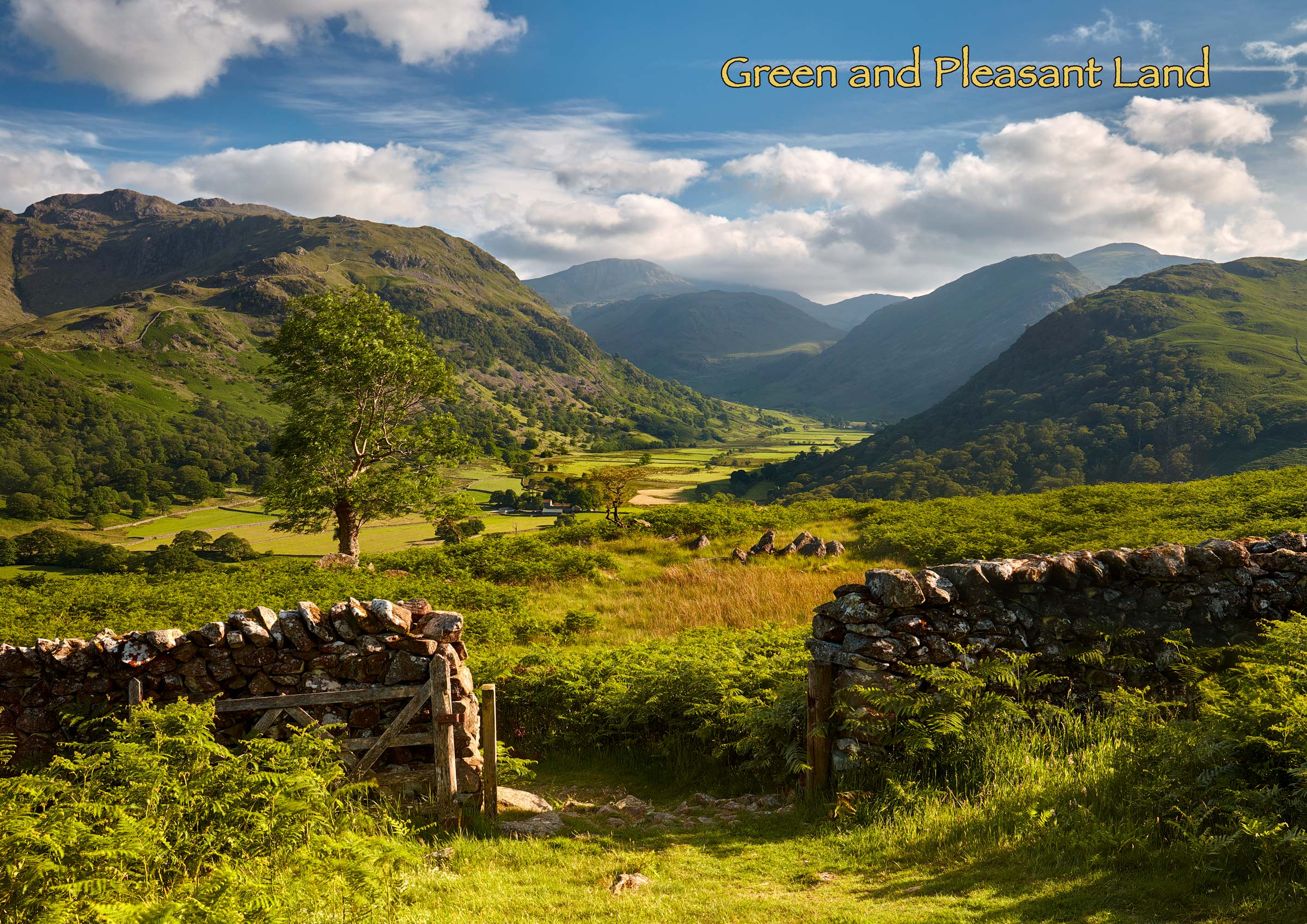 Borrowdale - Cards