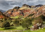 Langdale - Summer Greens of Langdale