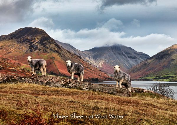 Wastwater - Cards
