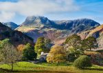 Langdale - Cards - Golden Trees of Langdale