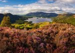 Borrowdale - Colours of Summer on Kings How