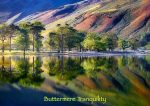 Buttermere - Cards - Buttermere Tranquility