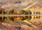 Buttermere - Buttermere Golds and Greens