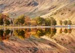 Buttermere - Cards - Buttermere Golds and Greens