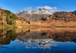 Waters and Tarns - Cards - Blea Tarn Tranquility
