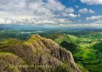 Langdale - Cards - Guardians of Langdale