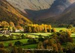 Borrowdale - Cards - Borrowdale Autumn Sunlight