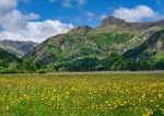 Langdale - Cards - Yellow Fields of Langdale
