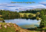 Waters and Tarns - Cards - Summer Greens of Loughrigg Tarn