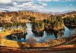 Waters and Tarns - Cards - Tarn Hows Spring Sunshine