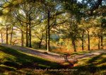 Buttermere - Cards - Shades of Autumn at Buttermere