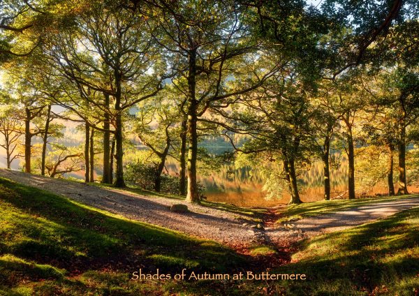 Buttermere - Cards - Shades of Autumn at Buttermere