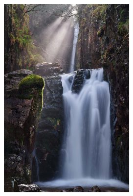 Scale Force Sunbeams - Print