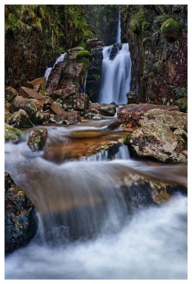 Scale Force Beck - Print