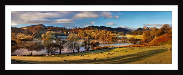 Wandering Sheep Loughrigg Tarn - Framed print with mount